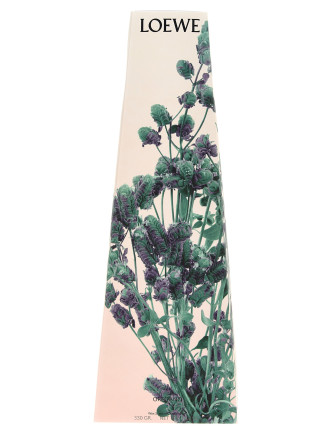 Свеча LOEWE 'Oregano' (LW67973OREGANO) #