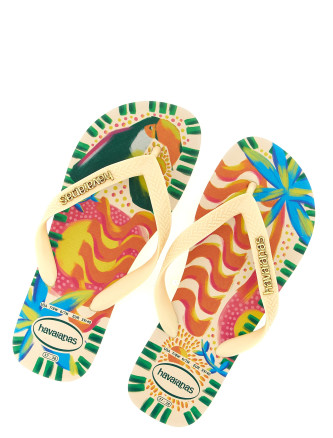 Шлепанцы HAVAIANAS 'Ginga' (41507469256) #