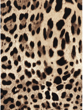 Шарф, платок DOLCE & GABBANA 'Leopardo' (FN090RGDBQJH213M) #