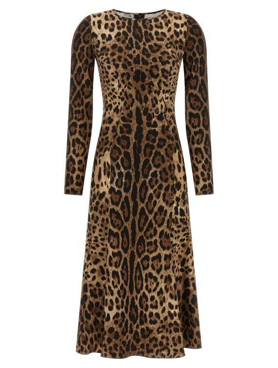 Миди DOLCE & GABBANA Animal print dress (F6AUVTFSRKIHY13M) #1