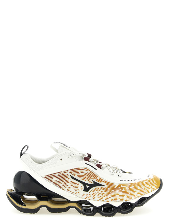 Кроссовки MIZUNO 'Wave Prophecy 13.2' (D1GA260H02) #1