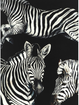 Шарф, платок DOLCE & GABBANA Zebra print scarf (FS209AGDAO2HH3RN) #