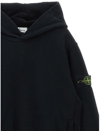 Толстовка STONE ISLAND JUNIOR 'Badge Logo' (L2S166100003S0A20V0029) #