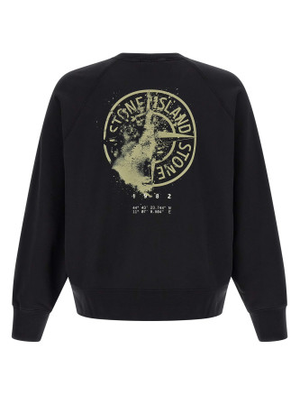 Толстовка STONE ISLAND Print sweatshirt (L2S156100008S0466V0029) #