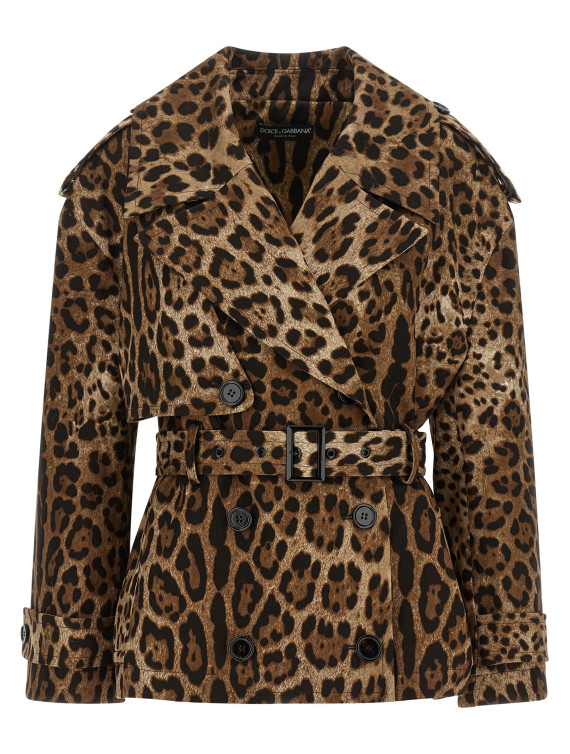 Пальто, тренч DOLCE & GABBANA 'Leo' (F9U46TFSFN4HY13M) #1