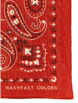 Шарф, платок ALANUI Bandana Paisley (LWMI003E26FAB00125842584) #