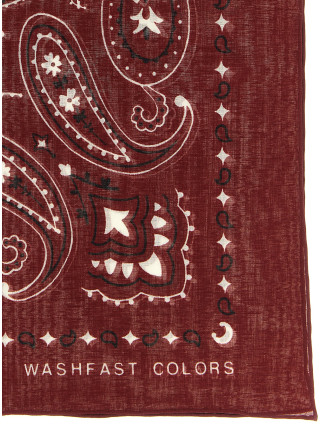 Шарф, платок ALANUI Bandana Paisley (LWMI003E26FAB00128842884) #