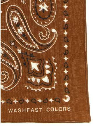 Шарф, платок ALANUI Bandana Paisley (LWMI003E26FAB00164846484) #