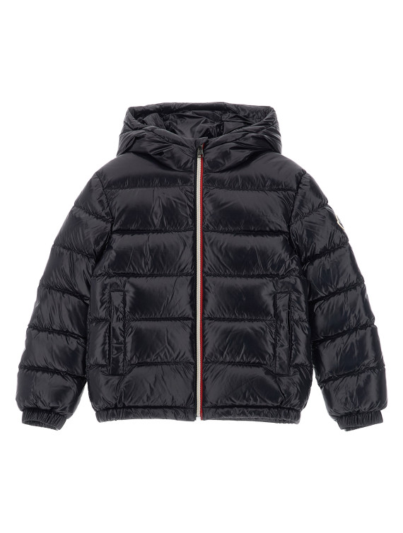 Пуховая куртка, парка, повседневная куртка MONCLER ENFANT 'New Aubert' (L29541A00035597Z8742) #1