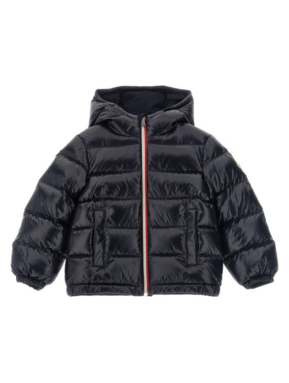 Пуховая куртка, парка, повседневная куртка MONCLER ENFANT 'New Aubert' (L29511A00019597Z8742) #1