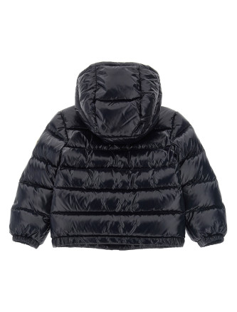 Пуховая куртка, парка, повседневная куртка MONCLER ENFANT 'New Aubert' (L29511A00019597Z8742) #