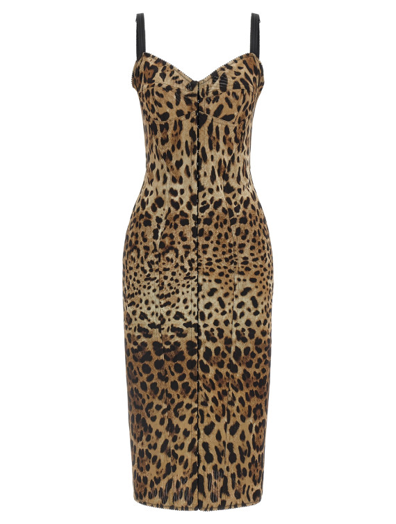 Миди DOLCE & GABBANA Animal-Print Corset Dress (F6R3OTGDCLRHY13M) #1