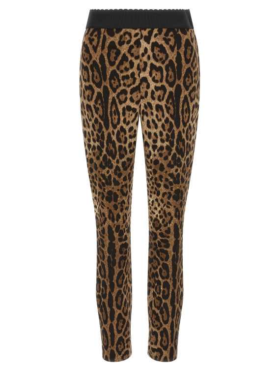 Леггинсы DOLCE & GABBANA 'Leo' (FTANETFSRKYHY13M) #1