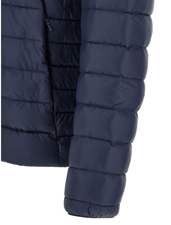 Пуховик PATAGONIA NetPlus® down jacket (84702NENA) #