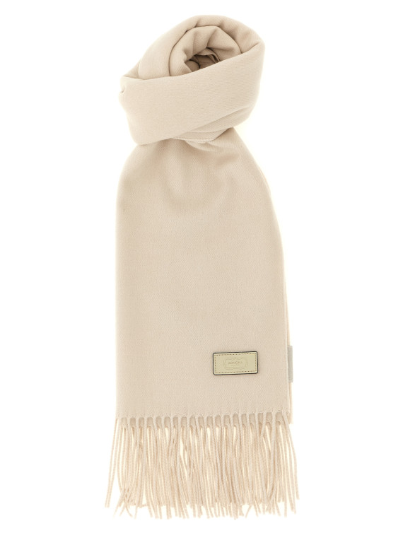 Шарф AGNONA Silk and cashmere scarf (AS12U2H4070N14) #1