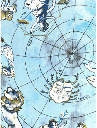 Шарф DIANE VON FURSTENBERG 'Zodiac Flag' (F001AWATERSKTLWATER) #