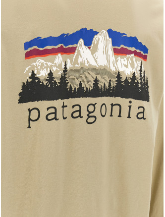 Футболка PATAGONIA 'Fitz Roy Foothills' (37893WSTO) #
