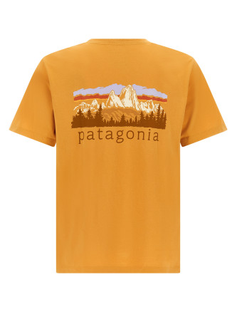 Футболка PATAGONIA 'Fitz Roy Foothills' (37887DMGO) #