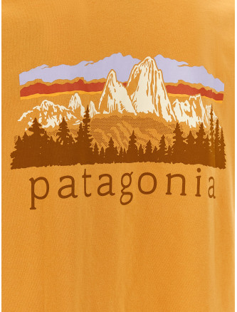 Футболка PATAGONIA 'Fitz Roy Foothills' (37887DMGO) #