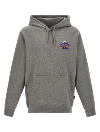 Худи PATAGONIA 'Great Waves'