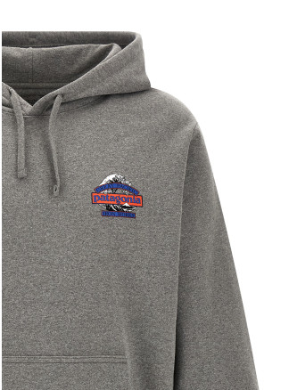 Худи PATAGONIA 'Great Waves' (39739GLH) #