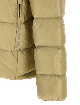 Пуховик PATAGONIA 'Fitz Roy Down Jacket ' (84587WSTO) #
