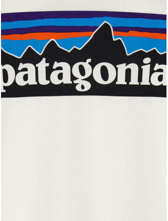 Свитер PATAGONIA 'P-6 Logo Responsibili-Tee®' (38518FBWI) #