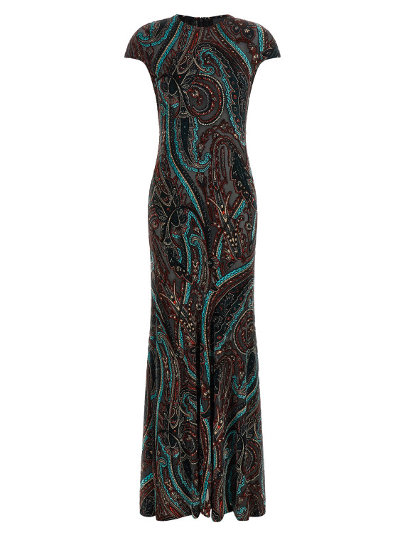 Devoré velvet dress (WRHA078199JJD1AS9830) #1