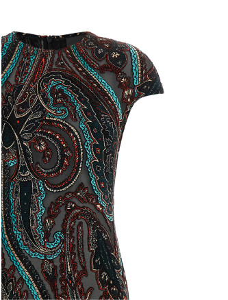 Devoré velvet dress (WRHA078199JJD1AS9830) #