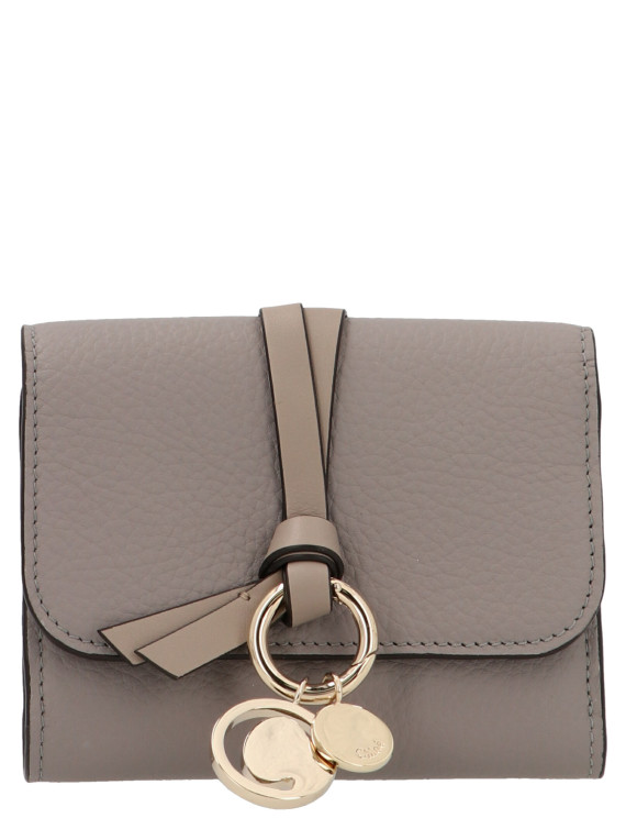 Кошелёк CHLOÉ 'Alphabet’ wallet (CHC21WP945F57053) #1