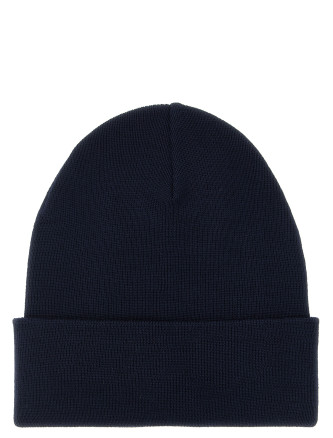 Шапка MONCLER GRENOBLE Logo patch beanie (L20973B0001309974778) #