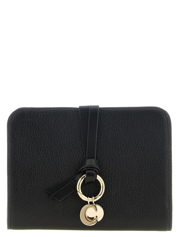 Кошелёк CHLOÉ 'Alphabet' (CH25AP999F57001) #1