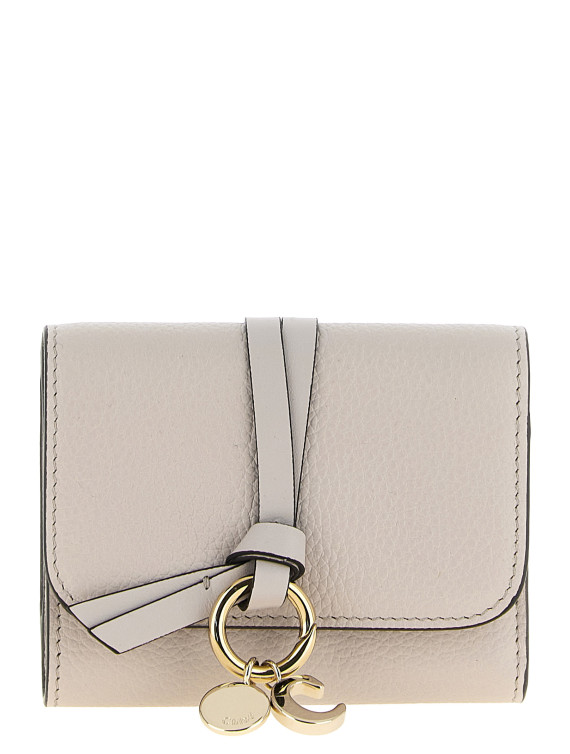 Кошелёк CHLOÉ 'Alphabet' (CHC21WP945F57084) #1