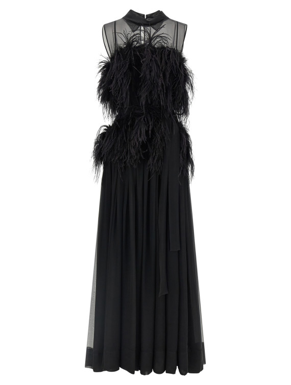 Платье макси ALBERTA FERRETTI Chiffon and feather dress (A042051150555) #1