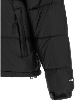 Пуховик THE NORTH FACE '1996 Retro Nuptse' (NF0A3C8DGOE1) #