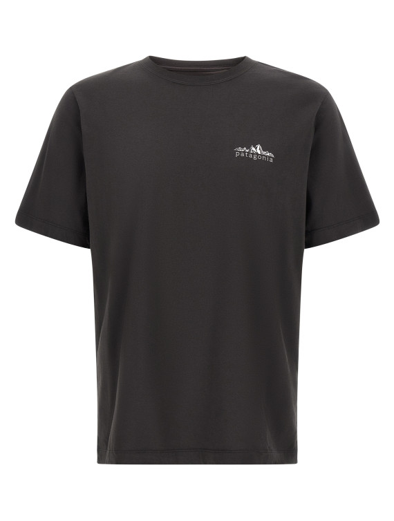 Футболка PATAGONIA 'Fitz Roy Foothills' (37887INBK) #1
