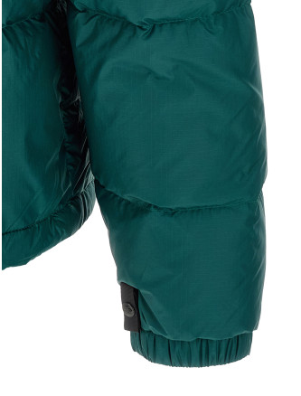 Пуховик THE NORTH FACE '1996 Retro Nuptse' (NF0A3C8DS7K1) #